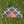 MAK Birnenholz Fächer