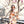 Kimono Dagobert Peche 
