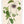 Kunstdruck: Passionsblume