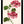 Kunstdruck: Pelargonie