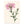 Kunstdruck: Flockenblume