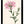 Kunstdruck: Flockenblume