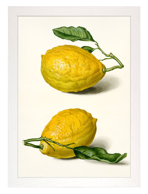 Art Print with Lemons